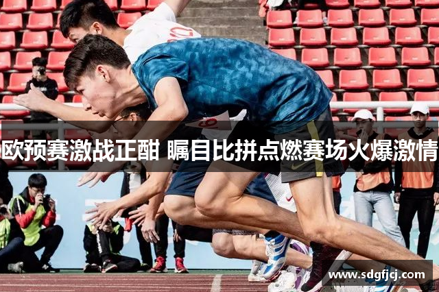 欧预赛激战正酣 瞩目比拼点燃赛场火爆激情