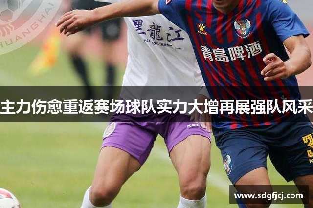 主力伤愈重返赛场球队实力大增再展强队风采