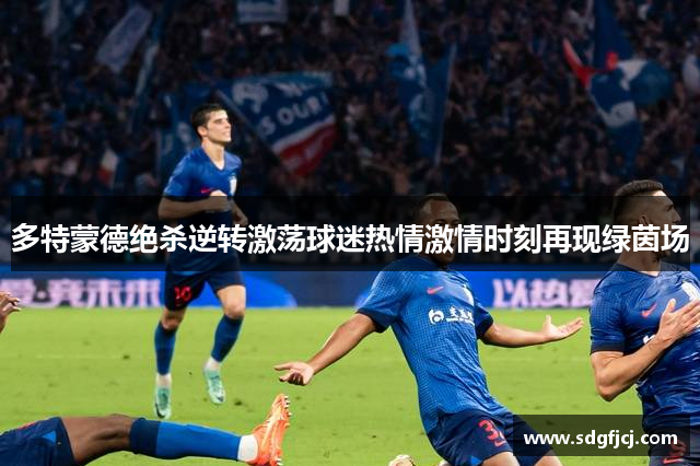多特蒙德绝杀逆转激荡球迷热情激情时刻再现绿茵场
