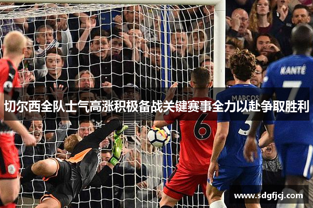 切尔西全队士气高涨积极备战关键赛事全力以赴争取胜利