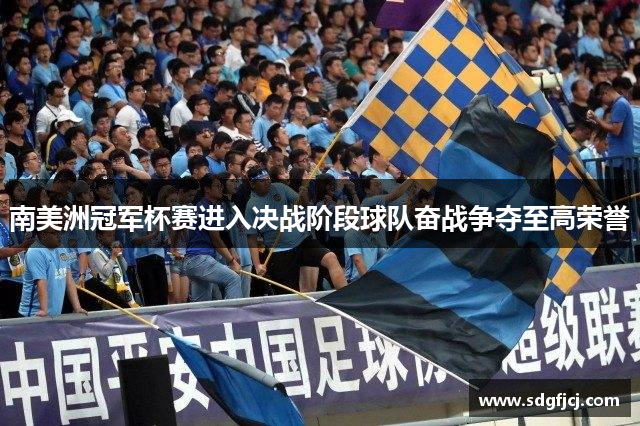南美洲冠军杯赛进入决战阶段球队奋战争夺至高荣誉