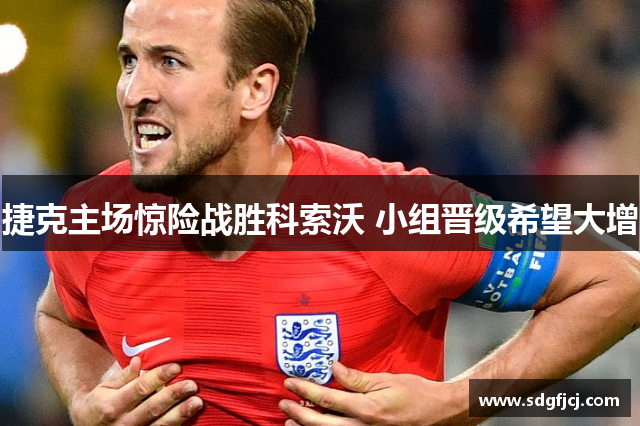 捷克主场惊险战胜科索沃 小组晋级希望大增