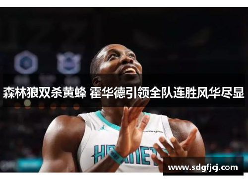 森林狼双杀黄蜂 霍华德引领全队连胜风华尽显