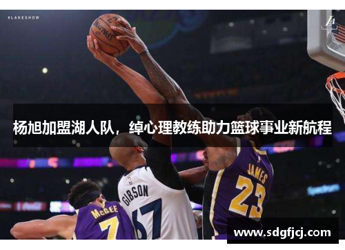 杨旭加盟湖人队，绰心理教练助力篮球事业新航程