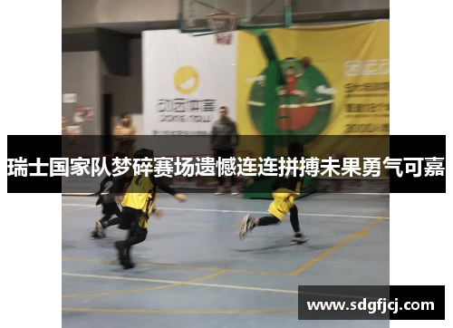 瑞士国家队梦碎赛场遗憾连连拼搏未果勇气可嘉