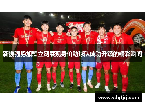 新援强势加盟立刻展现身价助球队成功升级的精彩瞬间
