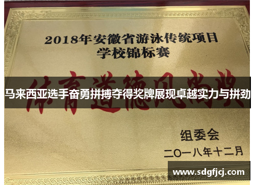 马来西亚选手奋勇拼搏夺得奖牌展现卓越实力与拼劲