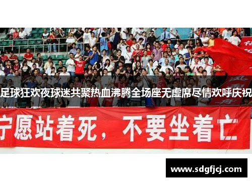 足球狂欢夜球迷共聚热血沸腾全场座无虚席尽情欢呼庆祝
