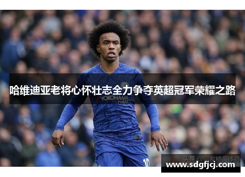 哈维迪亚老将心怀壮志全力争夺英超冠军荣耀之路