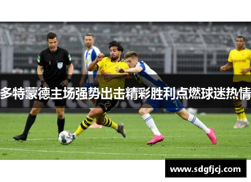 多特蒙德主场强势出击精彩胜利点燃球迷热情