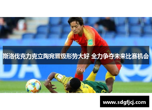 斯洛伐克力克立陶宛晋级形势大好 全力争夺未来比赛机会