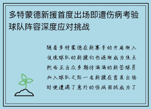 多特蒙德新援首度出场即遭伤病考验球队阵容深度应对挑战
